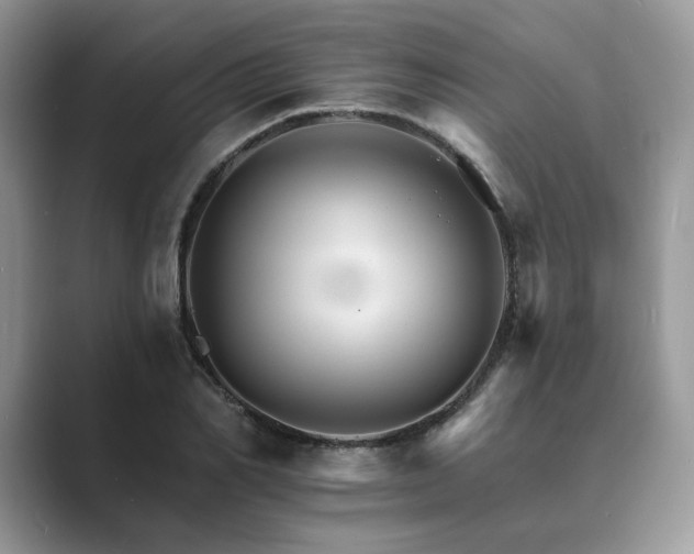 X0000089660982200707051527