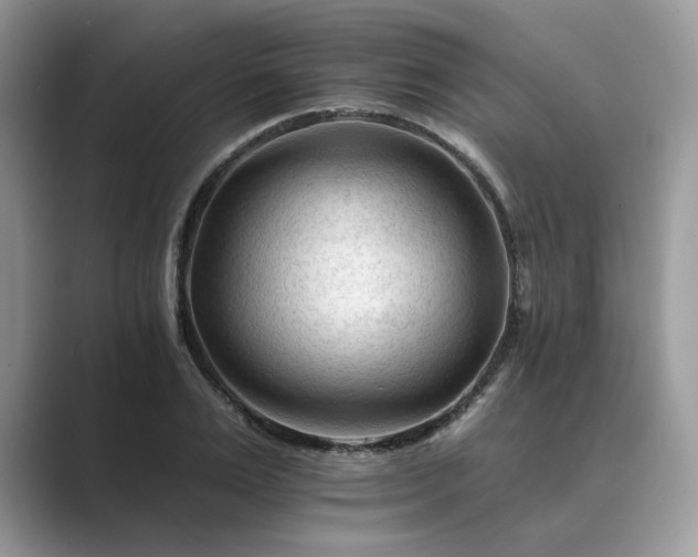 X0000089660983200707051526