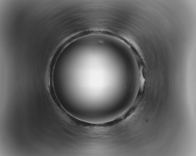 X0000089660984200707051526