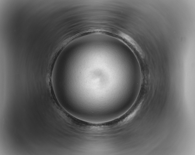 X0000089660985200707051526