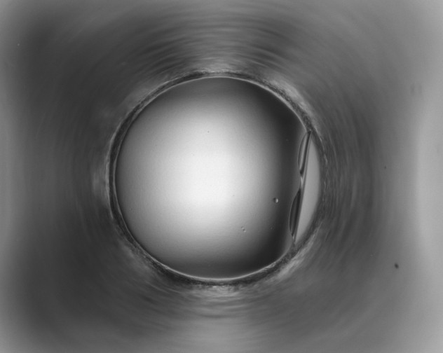 X0000089660986200707051526