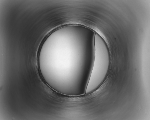 X0000089660988200707051526