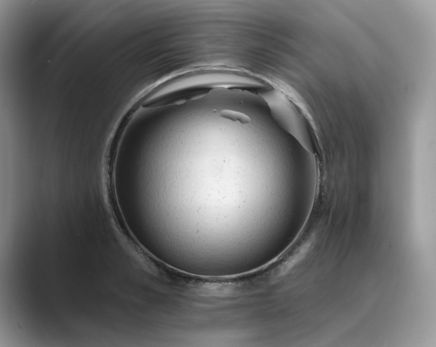 X0000089660989200707051526