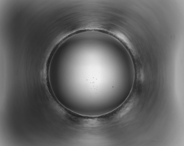 X0000089660990200707051526