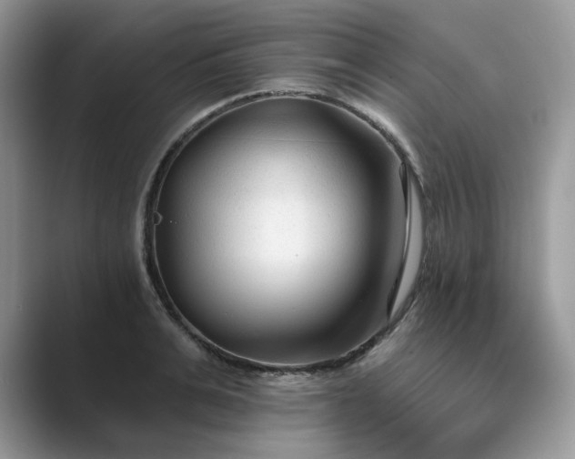 X0000089660991200707051526