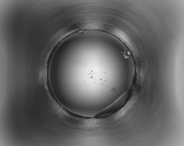 X0000089660992200707051526