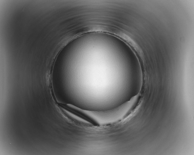 X0000089660993200707051526