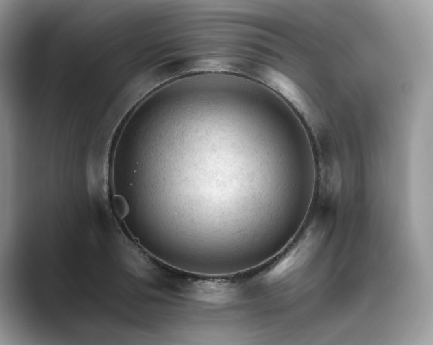 X0000089660994200707051526