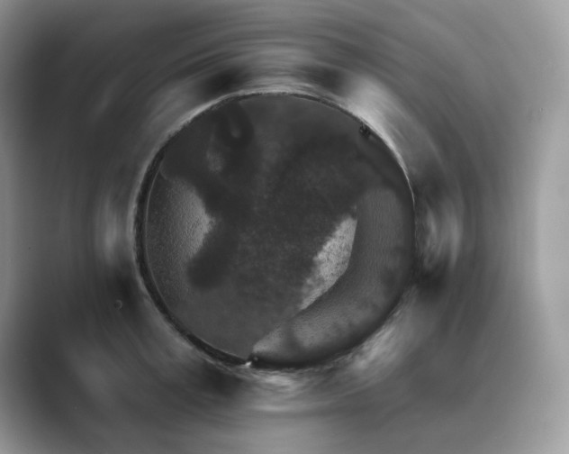 X0000089660995200707051526