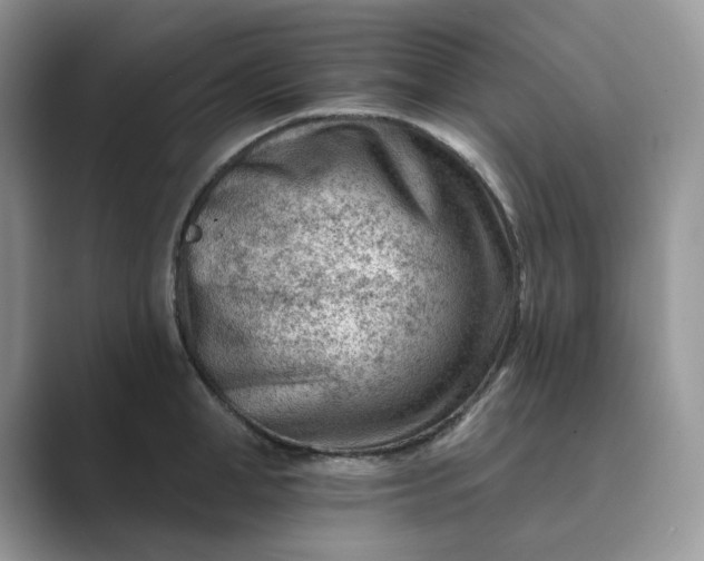 X0000089660998200707051526