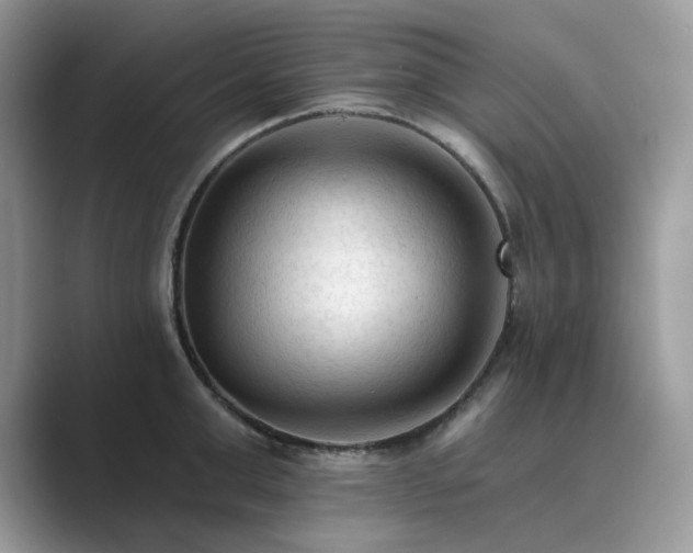 X0000089660999200707051526