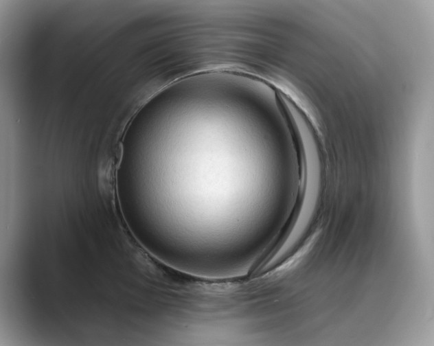 X0000089661001200707051526