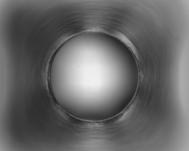 X0000089661002200707051526