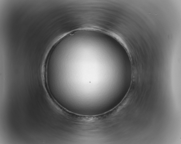 X0000089661003200707051526