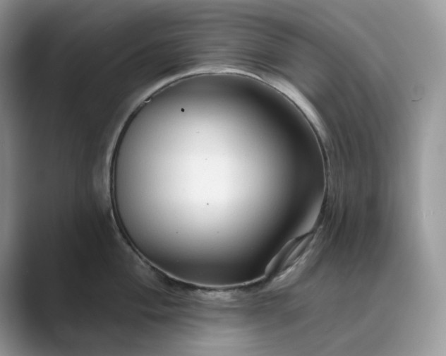 X0000089661004200707051526