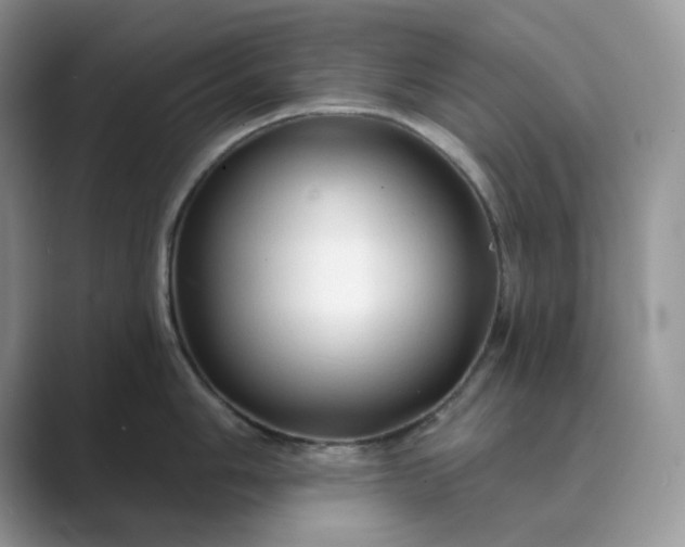 X0000089661006200707051526