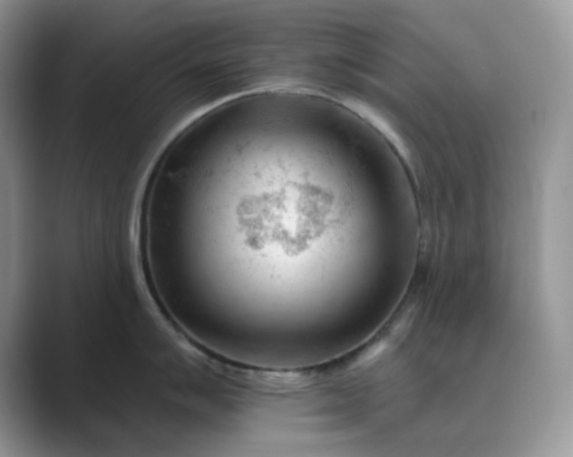 X0000089661007200707051526