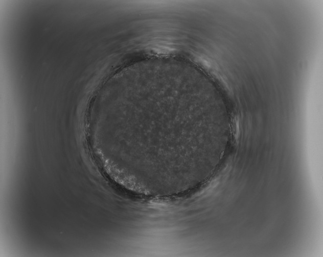 X0000089661009200707051525