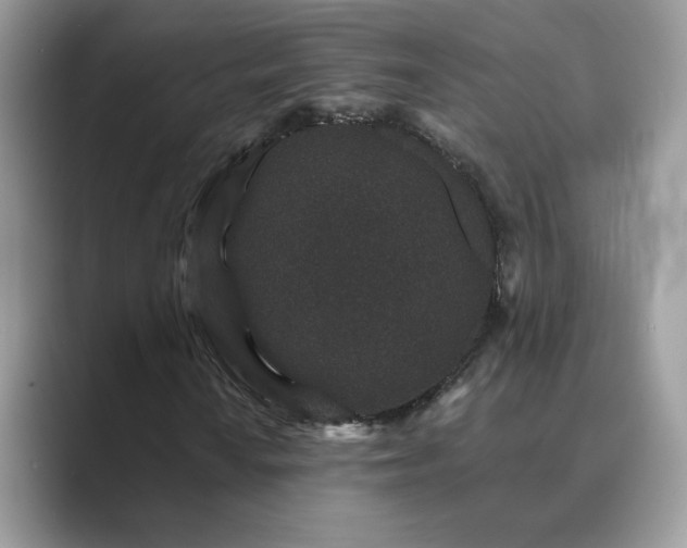 X0000089661010200707051525