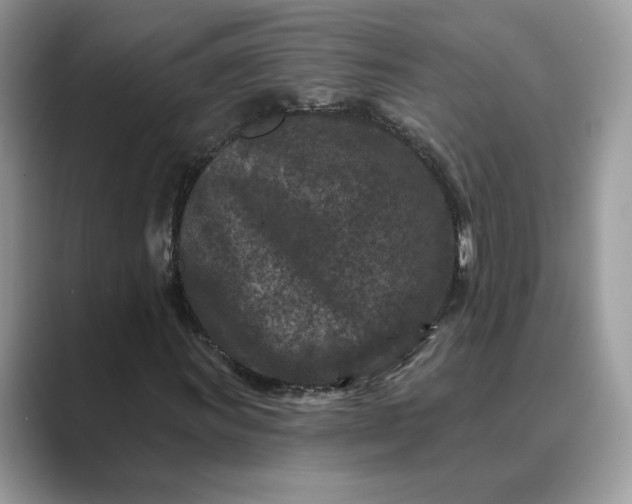 X0000089661011200707051525