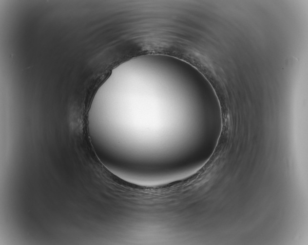 X0000089661012200707051526