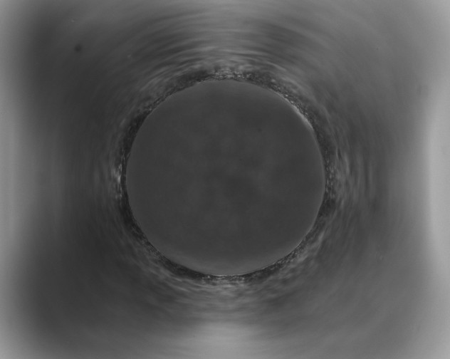 X0000089661013200707051526