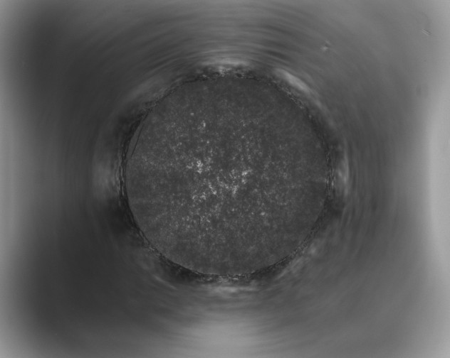 X0000089661014200707051526