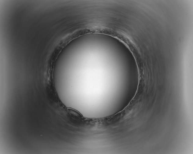 X0000089661016200707051526