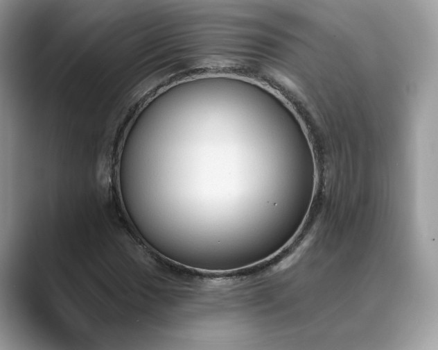 X0000089661017200707051526