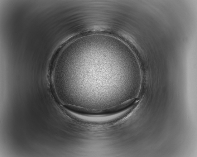 X0000089661018200707051526