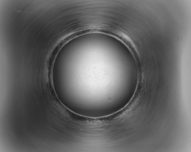 X0000089661019200707051526