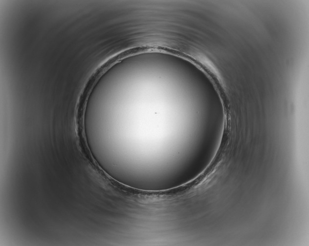 X0000089661020200707051526