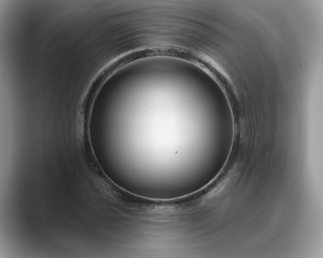 X0000089661021200707051526