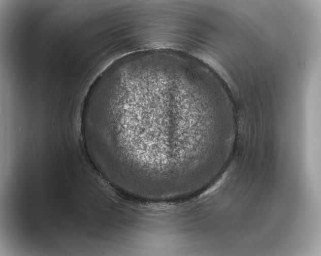 X0000089661023200707051526