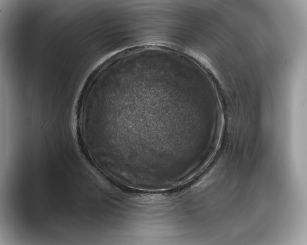 X0000089661024200707051526