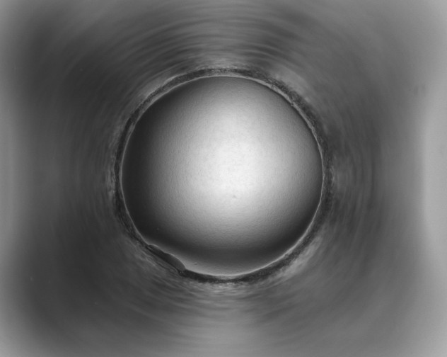 X0000089661025200707051526