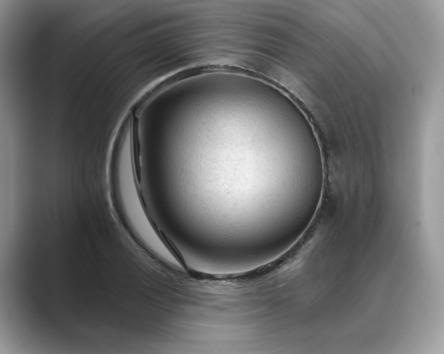 X0000089661028200707051526