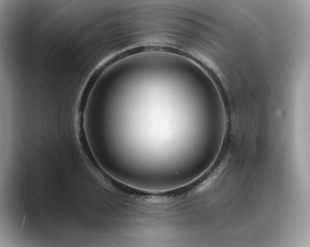 X0000089661029200707051526