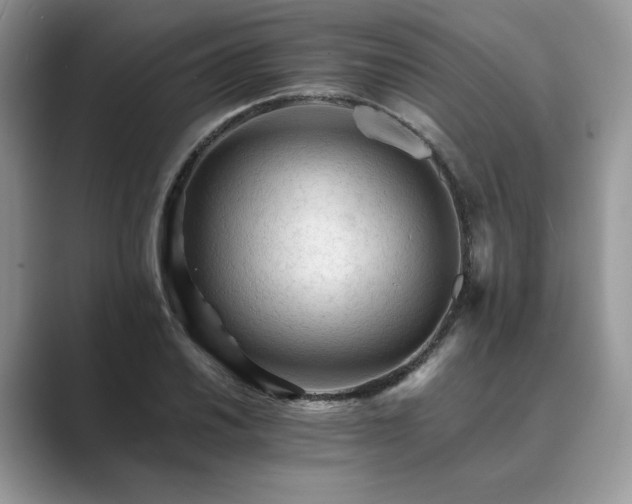 X0000089661030200707051526