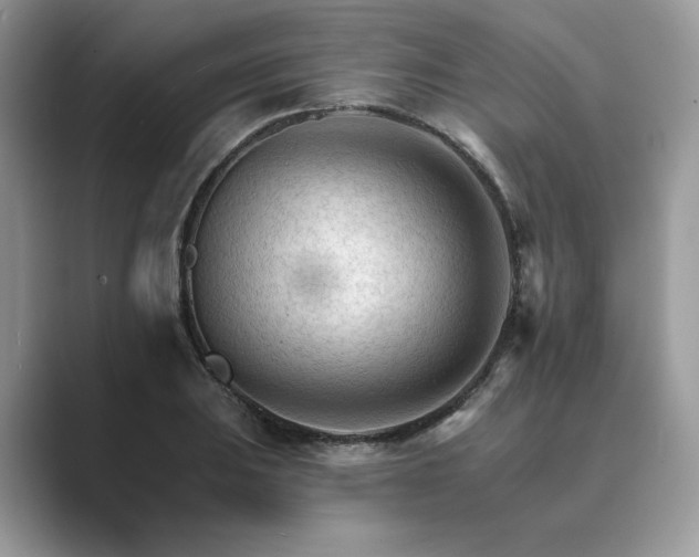 X0000089661031200707051526