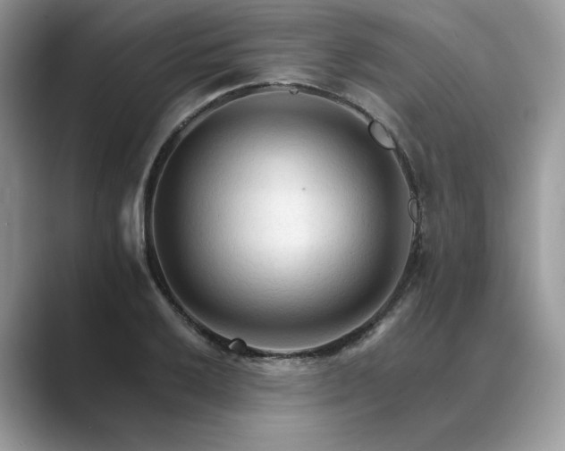 X0000089661032200707051526