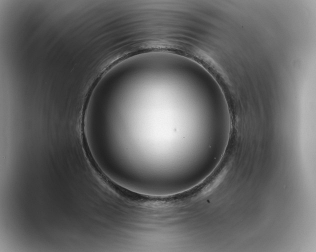 X0000089661033200707051526