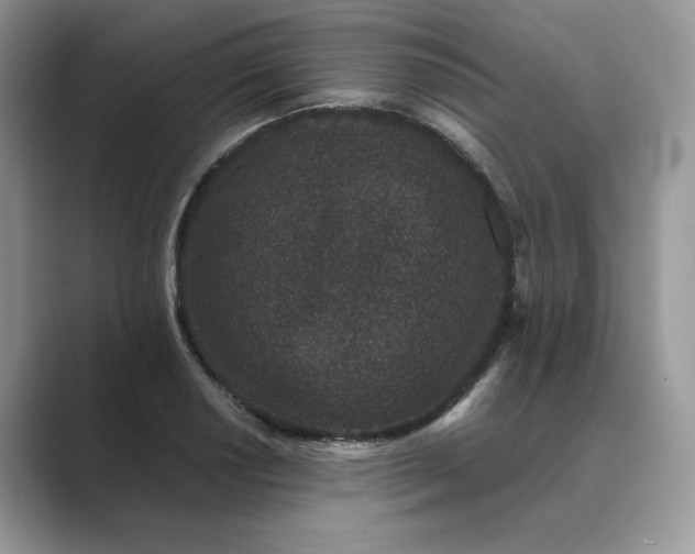 X0000089661034200707051526