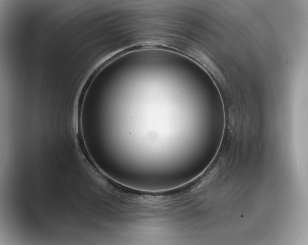 X0000089661036200707051526