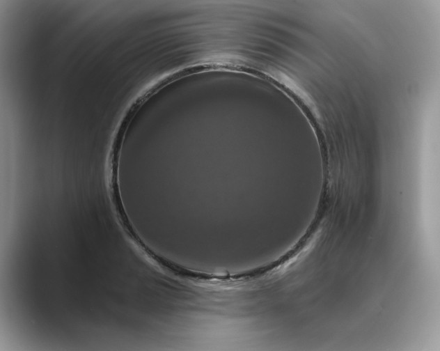 X0000089661037200707051526