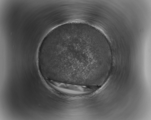 X0000089661038200707051526