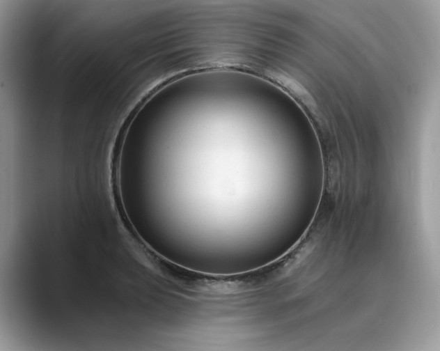 X0000089661039200707051526