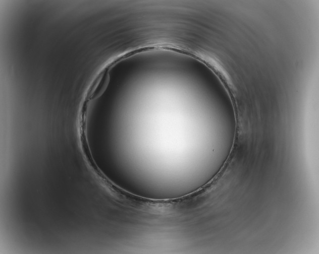 X0000089661040200707051526