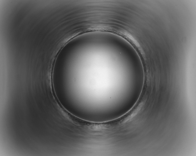 X0000089661041200707051526