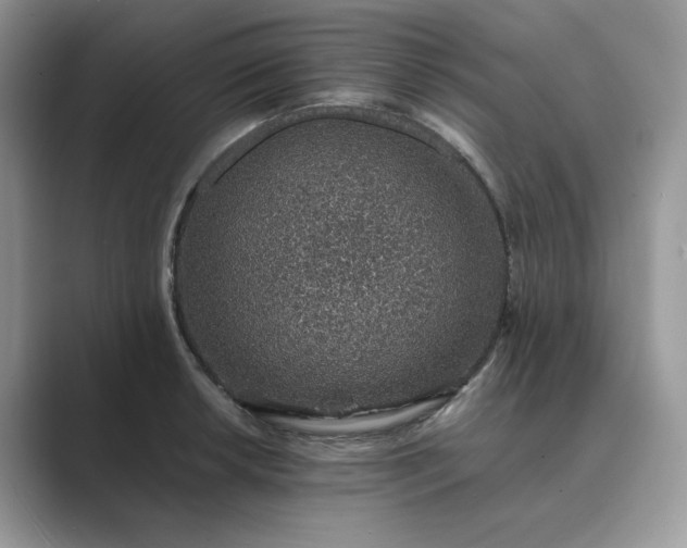 X0000089661042200707051526